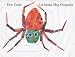 La Arana Muy Ocupada = Very Busy Spider