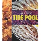 Click here to buy Life in a Tide Pool (Halfmann, Janet. Lifeviews.) by  Janet Halfmann and Tom Stack.