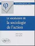 Le vocabulaire de la sociologie de l\'action