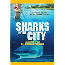 Sharks in the City
