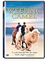 The Story of the Weeping Camel The Story of the Weeping Camel