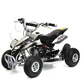 Mini ATV 49cc Mini Kinder Quad