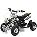Mini ATV 49cc Mini Kinder Quad