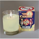 Stink Free Candle Cucumber Melon 10oz 51TVaLPWpOL. SL160 Stink Free Candle Cucumber Melon 10oz