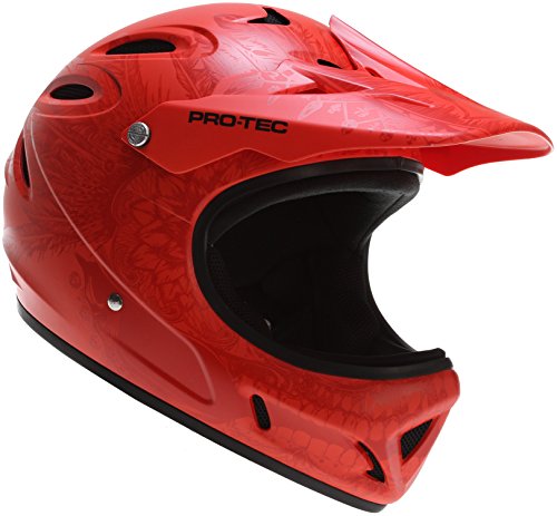 protec full face helmet