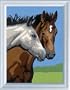 Horse Couple Paint By Numbers