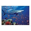 Melissa & Doug SHARK 100 PC JIGSAW PUZZLE