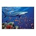 Melissa & Doug SHARK 100 PC JIGSAW PUZZLE