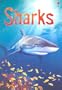Sharks (Usborne Beginners)
