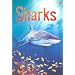 Sharks (Usborne Beginners)
