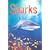 Sharks: Information for Young Readers - Level 1 (Usborne Beginners)