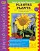 PLANTAS