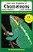 Care & Breeding of Chameleons (The Herpetocultural Library)