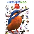 �� (���w�ق̐}��NEO)