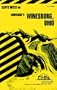 Winesburg, Ohio, (Cliffs Notes)