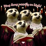 Merry Meerkats Christmas Cards Pack