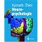 Fachb�cher Neuropsychologie
