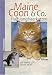 maine coon - Maine Coon und Co. Halblanghaarkatzen.