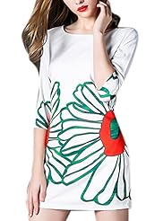 Floral Print Sheath Round Neck Chiffon Evening Dress/Bridesmaid Dress/Jumpsuit 