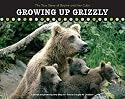 Growing Up Grizzly: The True Story of Baylee and Her Cubs (Falcon Guide)