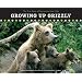 Growing Up Grizzly: The True Story of Baylee and Her Cubs (Falcon Guide)