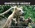 Growing Up Grizzly: The True Story of Baylee and Her Cubs (Falcon Guide)