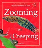 Zooming and Creeping (Weird & Wonderful)