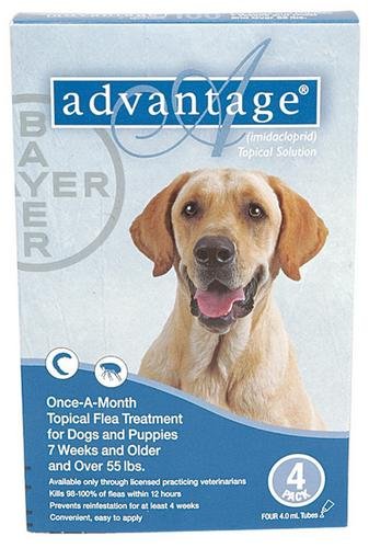 Buy Advantage - Blue Box for Dogs over 55 pounds - 4 count online at Discounted New and Used prices. Delivered to your door with Off-The-Bookshelf.