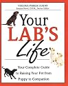 Your Lab's Life: Your Complete Guide to Raising Your Pet from Puppy to Companion (Your Pet's Life)