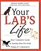 Your Lab's Life: Your Complete Guide to Raising Your Pet from Puppy to Companion (Your Pet's Life)