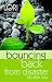 Bouncing Back from Disaster
