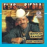 14 Exitos Con Banda Alegre Y Mujeriego