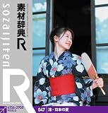 素材辞典[R(アール)] 047 涼・日本の夏