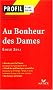 Au bonheur des dames : Commentaires du roman