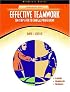 Effective Teamwork: Ten Steps for Technical Professions (NetEffect) (NetEffect Series)