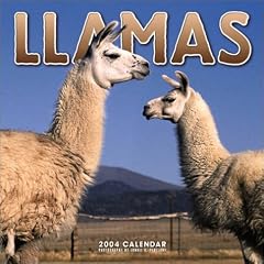 Llamas Wall Calendar: 2004