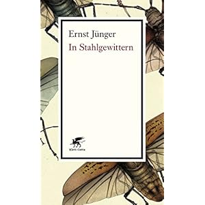 In Stahlgewittern