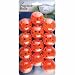 Intech Practice Balls with holes, 12 Pack (Orange)