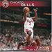 Search : Chicago Bulls 2007 Calendar