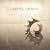 Casting Crowns