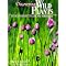 New England Plants & Ecology