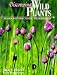 Discovering Wild Plants: Alaska, Western Canada, The Northwest