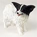 Papillon, Black/White Original Dog Figurine (4in-5in)