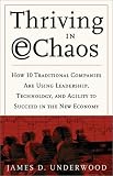 Thriving in E-Chaos : Discover the Secrets of 20 Companies That Have Conquered a Turbulent Marketplace