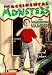 The Vanishing Vampire (The Accidental Monsters , No 1)