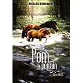 Pom le poulain