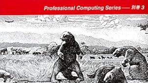 人月の神話―狼人間を撃つ銀の弾はない (Professional computing series (別巻3))