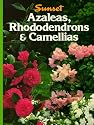 Azaleas Rhododendrons Camellias