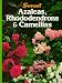 Azaleas Rhododendrons Camellias