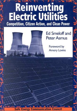 Reinventing Electric Utilities: Competition, Citizen Action, and Clean Power under Privatization in The Books Store